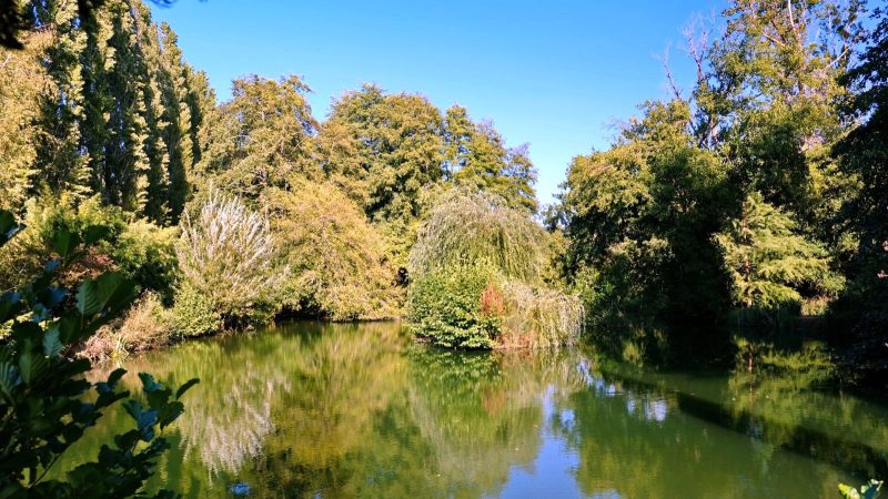 Charente. Moulin en Pierre pour Amoureux de la Nature, 8 ha, Ruisseau, Etang, Maison d'Amis, Bois