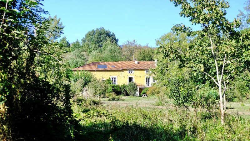 Charente. Moulin en Pierre pour Amoureux de la Nature, 8 ha, Ruisseau, Etang, Maison d'Amis, Bois