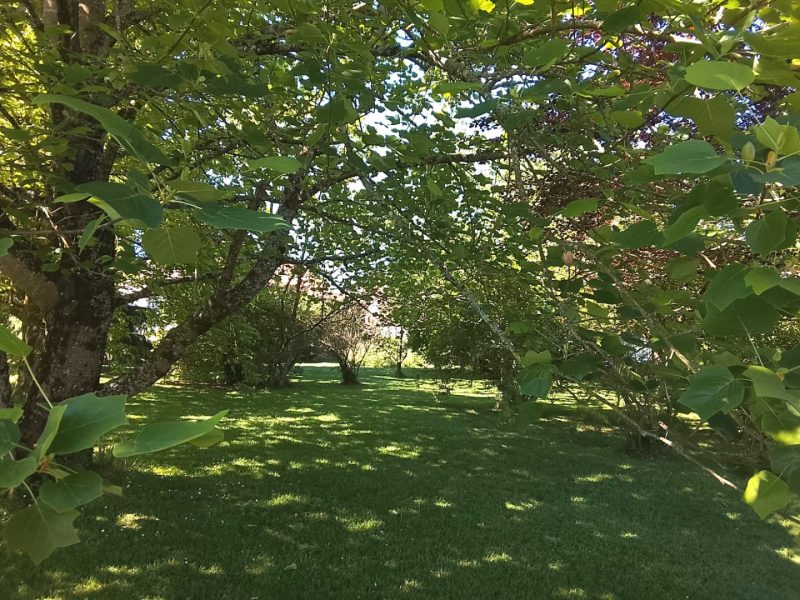Belle Maison dans Charmant Village, Plein-Pied, 4 Chambres, Beau Jardin, Près de Mortemart - Haute-Vienne