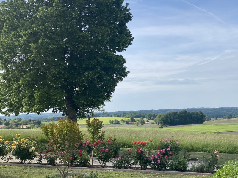 Propriété de Campagne avec Fort Potentiel Proche Chalais