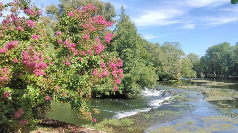 Magnifique Ancien Moulin en Pierre Situé sur une Ile Privée, Vue, Charente